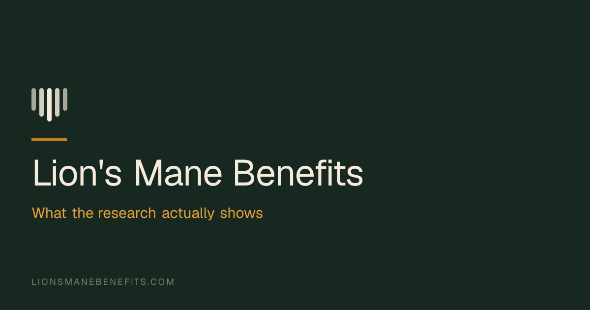 Lion's Mane Benefits