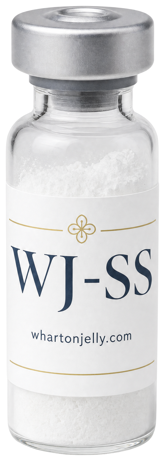 Wharton Jelly